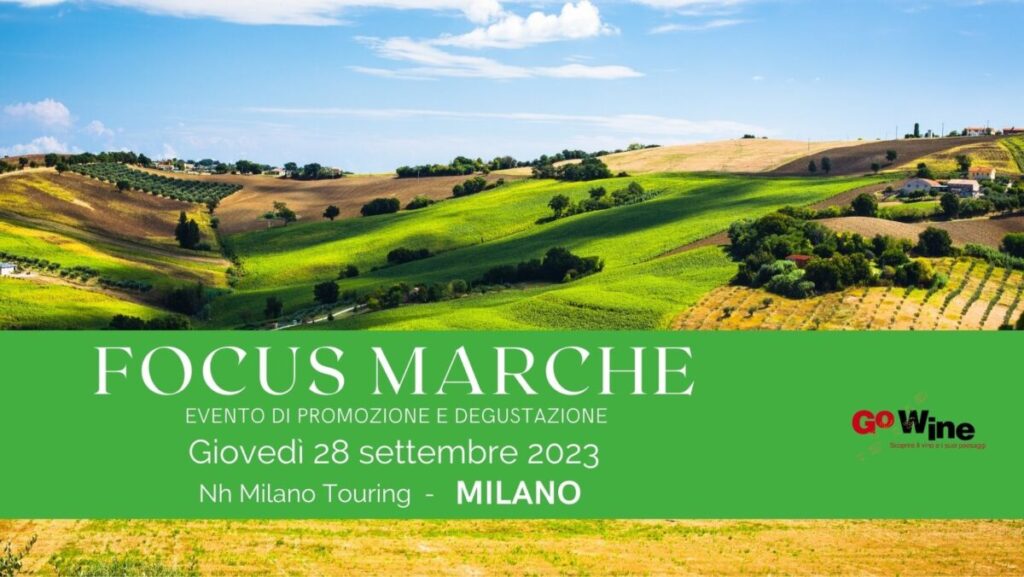 Focus Marche | Milano